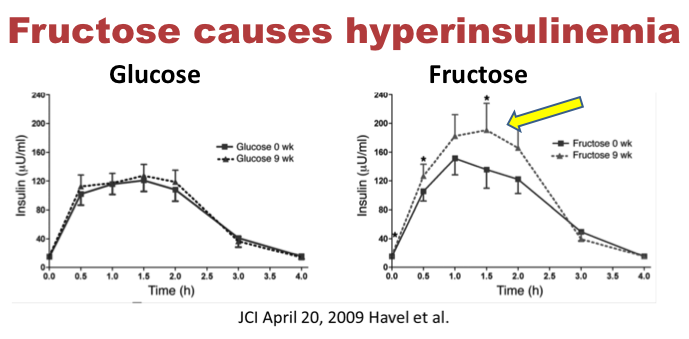 OMG - Problém glykemického indexu potravin - fruktóza