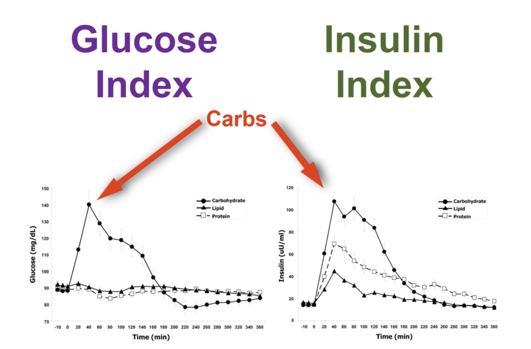 OMG - Glykemický vs. inzulínový index potravin. Problém kalorií
